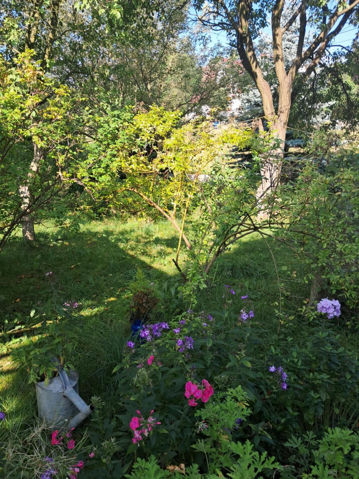Apartmán Przytulia Blekitny Kopaniec Exteriér fotografie